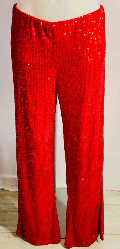Pantalone a Palazzo con Paillettes & Camicia