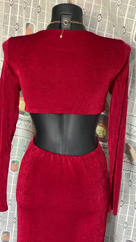 Stefy long burgundy dress