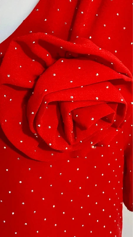 Abito Rosso Curvy Con Strassini & Spilla da una L fino ad una Taglia 60 Misure nelle Foto