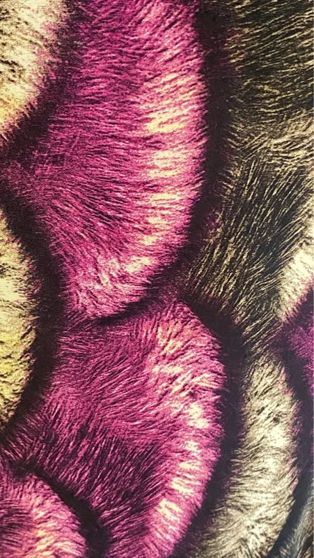 Abito Longuette Midi Elastico In Pizzo